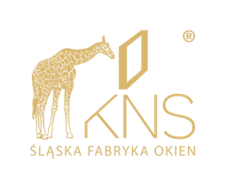 KNS
